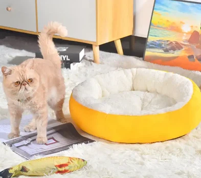 20231028133015 20231028133015