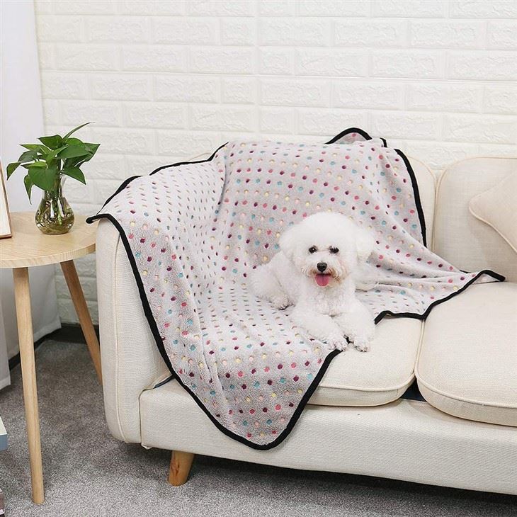 Couverture pour animaux de compagnie